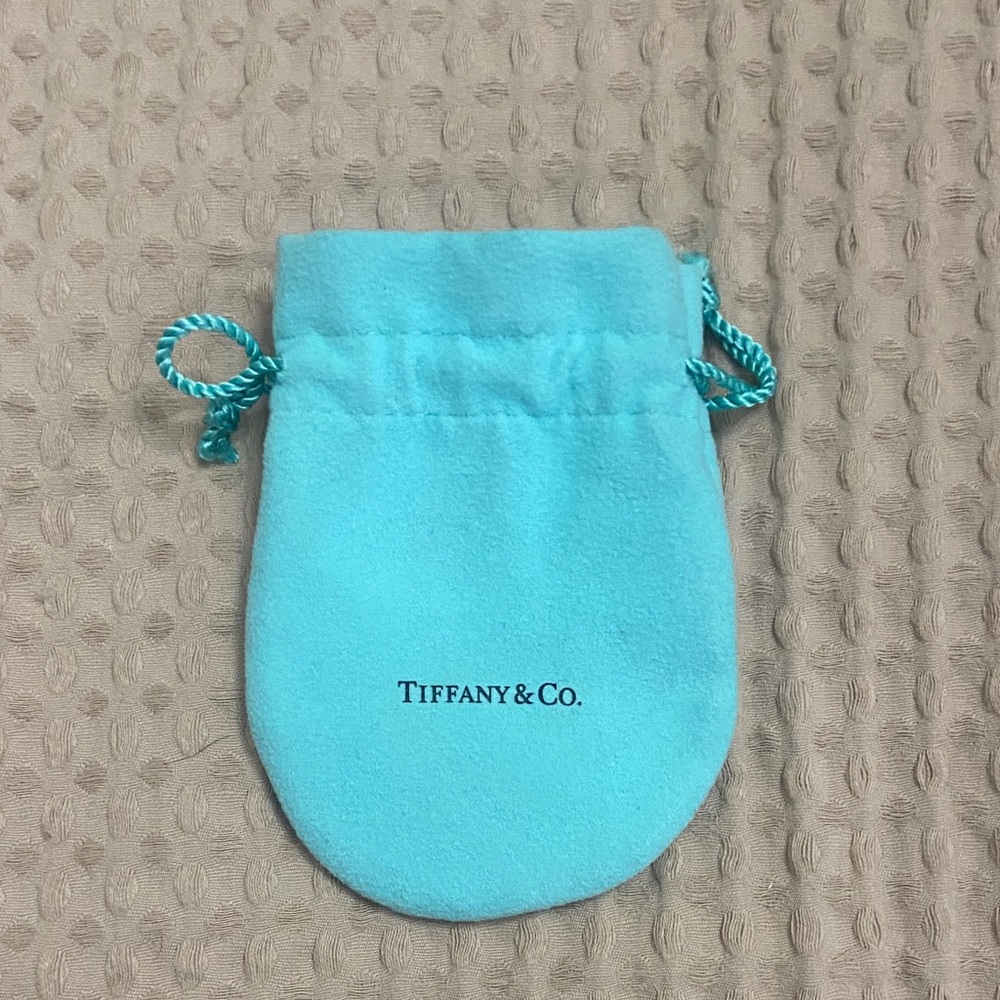 Tiffany & Co. Turquoise Drawstring Pouch